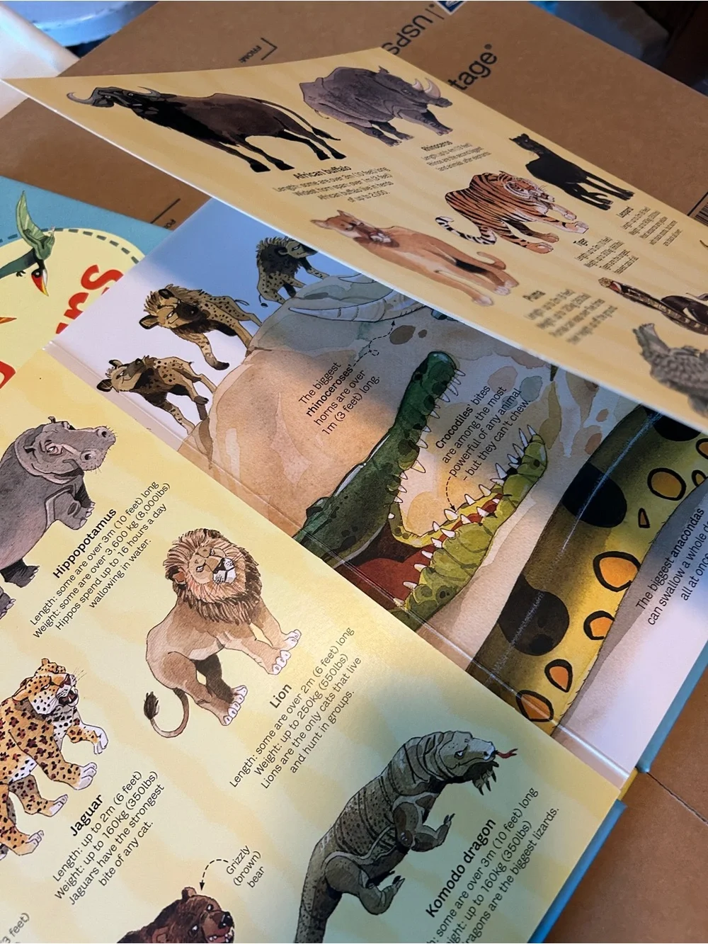 Usborne book of Big Animals and Big Dinosaurs